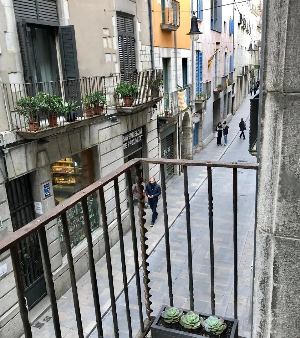 Apg Palau Salieti 1 Apartment Girona