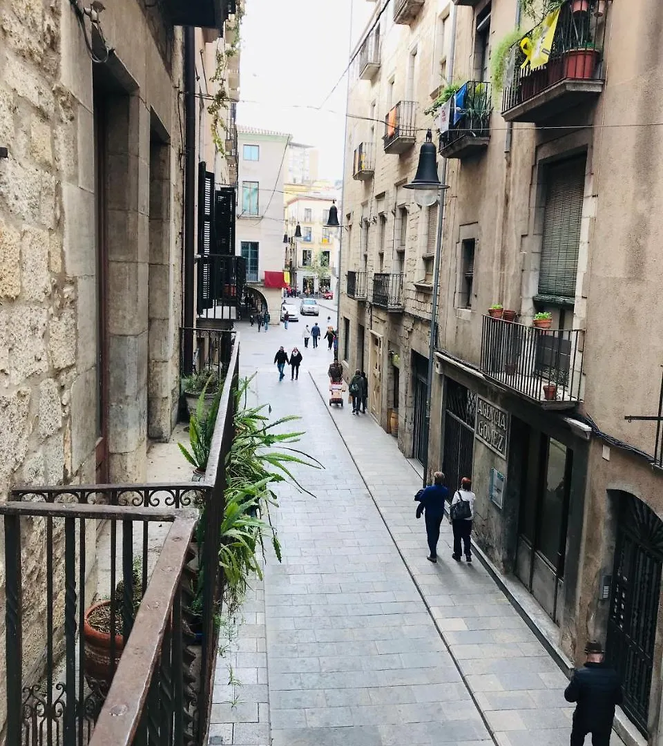Apg Palau Salieti 1 Apartment Girona 0*,  Spain